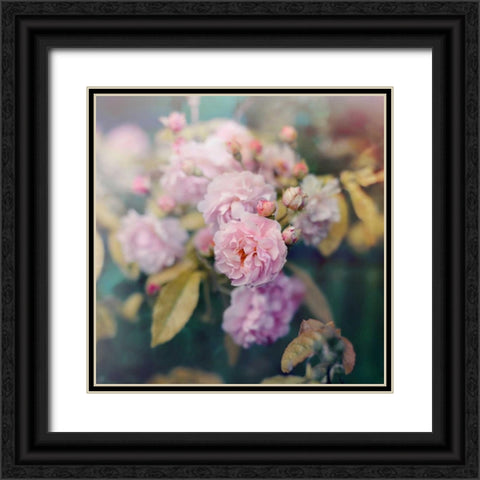 Season of Blossoms Black Ornate Wood Framed Art Print with Double Matting by Gardner, Sarah