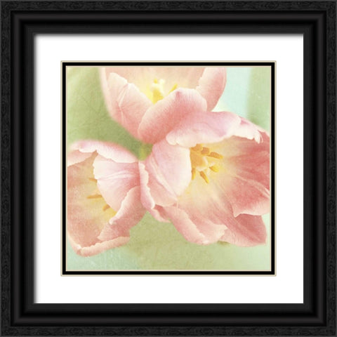 Resplendent Pink Blossoms Square Black Ornate Wood Framed Art Print with Double Matting by Gardner, Sarah