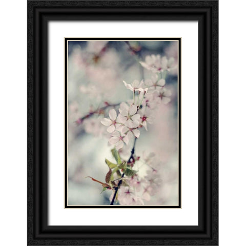 A Branch of Beauty Vertical Black Ornate Wood Framed Art Print with Double Matting by Gardner, Sarah