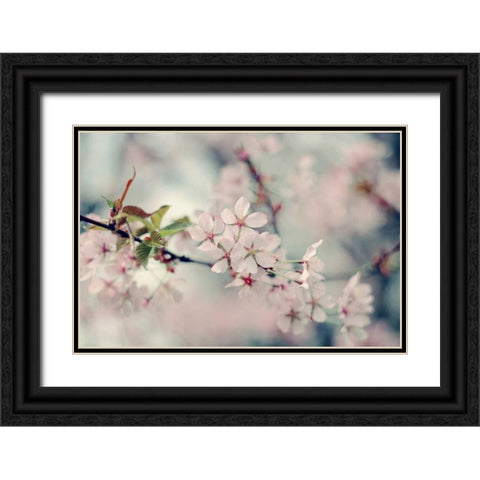 A Branch of Beauty Black Ornate Wood Framed Art Print with Double Matting by Gardner, Sarah