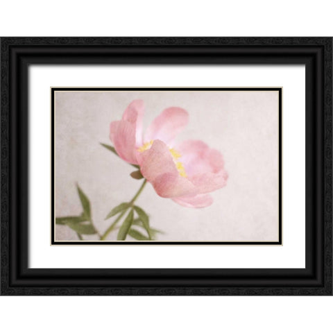 Soft Petals Black Ornate Wood Framed Art Print with Double Matting by Gardner, Sarah