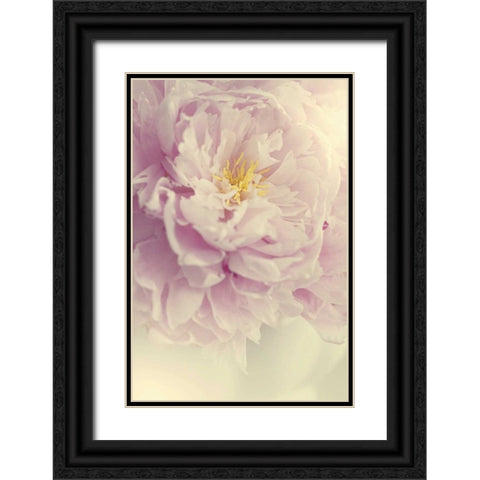 Angelic Petals Black Ornate Wood Framed Art Print with Double Matting by Gardner, Sarah