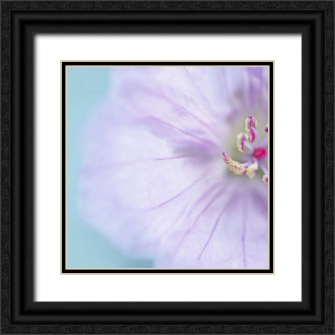 The Heart of a Flower Square Black Ornate Wood Framed Art Print with Double Matting by Gardner, Sarah