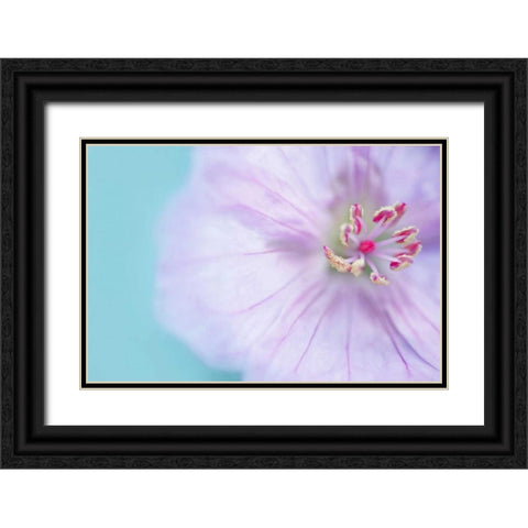 The Heart of a Flower Black Ornate Wood Framed Art Print with Double Matting by Gardner, Sarah