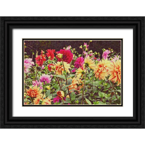 New Garden Black Ornate Wood Framed Art Print with Double Matting by Peck, Gail