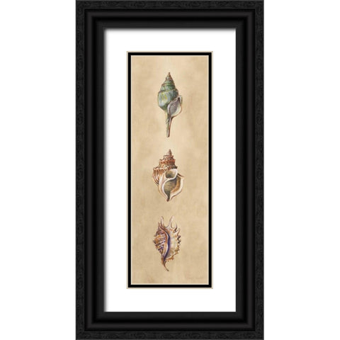 Seashells Panel I Black Ornate Wood Framed Art Print with Double Matting by Loreth, Lanie