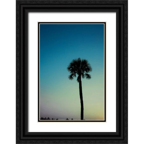 Palm Solo Black Ornate Wood Framed Art Print with Double Matting by Bryant, Susan