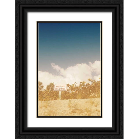 The Dunes Black Ornate Wood Framed Art Print with Double Matting by Bryant, Susan