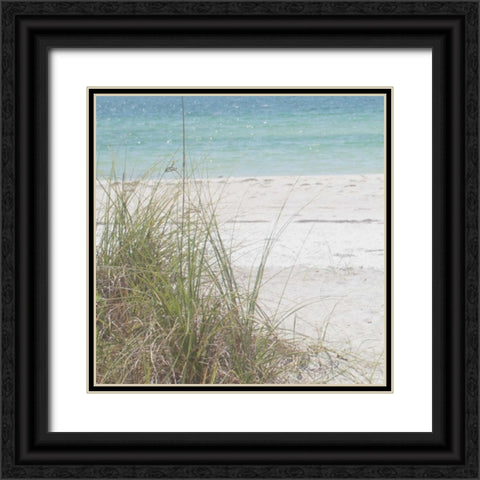 Ocean Air I Black Ornate Wood Framed Art Print with Double Matting by Bryant, Susan