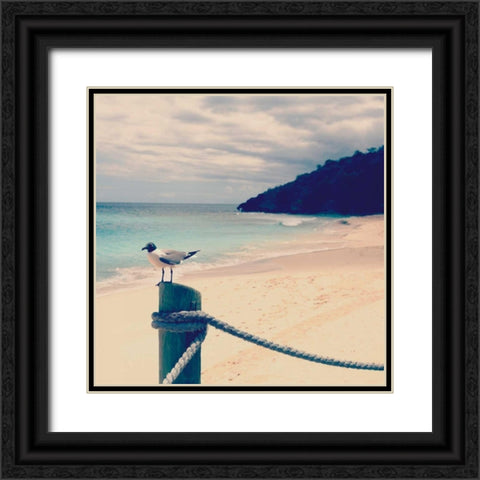 Island Vacation III Black Ornate Wood Framed Art Print with Double Matting by Bryant, Susan