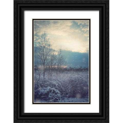 A Winters Day Black Ornate Wood Framed Art Print with Double Matting by Poynter, Kelly