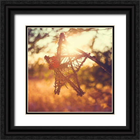 Morning Star Black Ornate Wood Framed Art Print with Double Matting by Poynter, Kelly