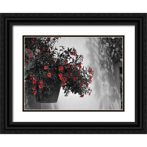 Garden Areas Border I Black Ornate Wood Framed Art Print with Double Matting by Peck, Gail