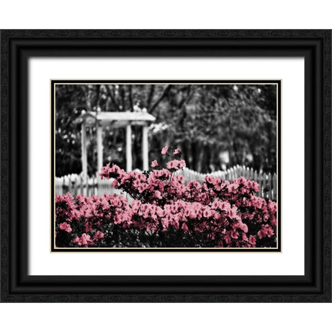 Garden Areas Border II Black Ornate Wood Framed Art Print with Double Matting by Peck, Gail