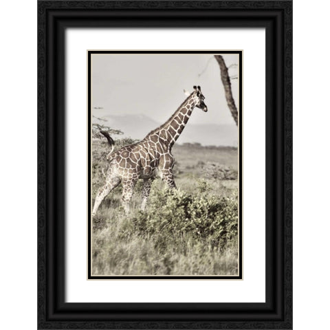 Sepia Giraffe Black Ornate Wood Framed Art Print with Double Matting by Bryant, Susan
