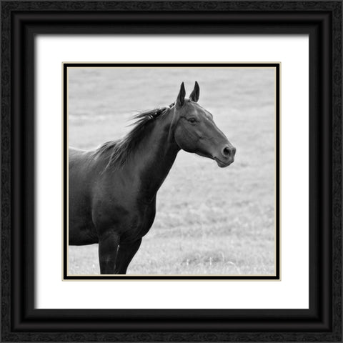 On Sight Black Ornate Wood Framed Art Print with Double Matting by Walker, Carol