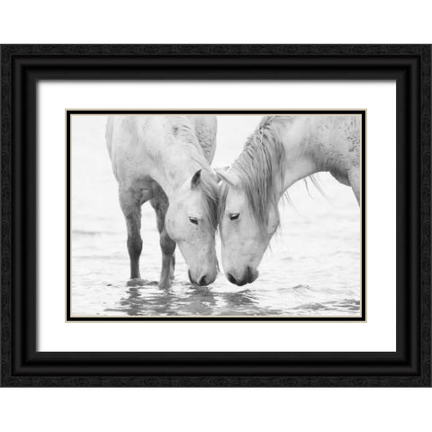 White Water Horses Black Ornate Wood Framed Art Print with Double Matting by Walker, Carol