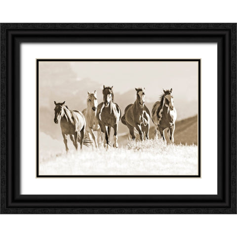 Mountain Run Black Ornate Wood Framed Art Print with Double Matting by Walker, Carol