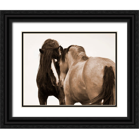 Horses Courting Black Ornate Wood Framed Art Print with Double Matting by Walker, Carol