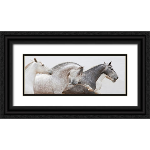 Pointing The Way Black Ornate Wood Framed Art Print with Double Matting by Walker, Carol