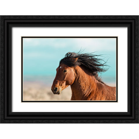 Running Horse Black Ornate Wood Framed Art Print with Double Matting by Walker, Carol