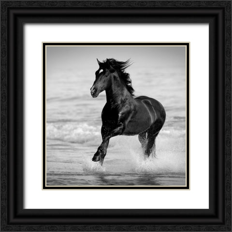 Bay in the Water Black Ornate Wood Framed Art Print with Double Matting by Walker, Carol