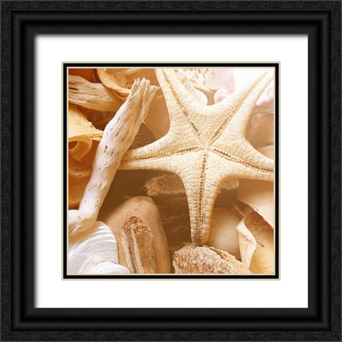 By the Seashore Square I Black Ornate Wood Framed Art Print with Double Matting by Bryant, Susan