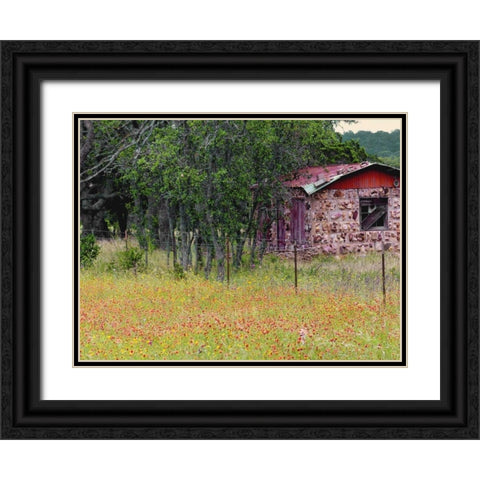 Country Meadow II Black Ornate Wood Framed Art Print with Double Matting by Peck, Gail