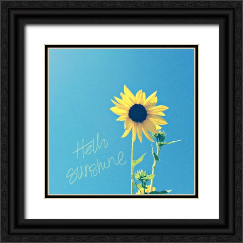 Hello Sunshine Black Ornate Wood Framed Art Print with Double Matting by Saghini, Lisa Hill