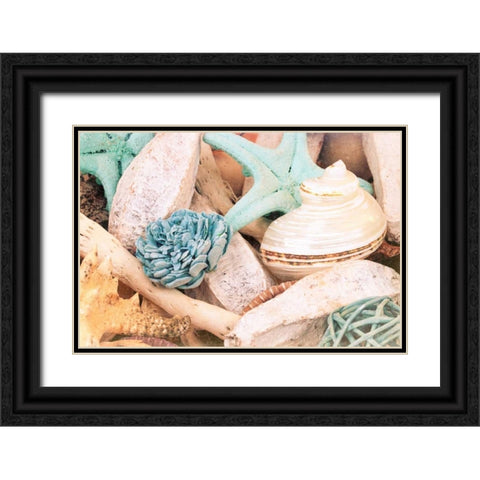 Bundle of Shells II Black Ornate Wood Framed Art Print with Double Matting by Bryant, Susan