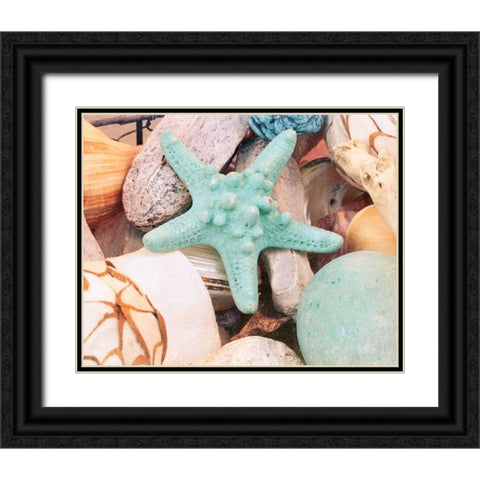 Bundle of Shells V Black Ornate Wood Framed Art Print with Double Matting by Bryant, Susan