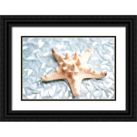 Shimmer Shells II Black Ornate Wood Framed Art Print with Double Matting by Bryant, Susan