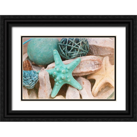 Bundle of Shells I Black Ornate Wood Framed Art Print with Double Matting by Bryant, Susan