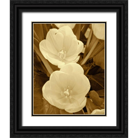 Sepia Blooms I Black Ornate Wood Framed Art Print with Double Matting by Rodriguez, Jairo