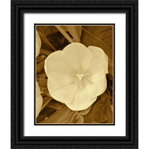 Sepia Blooms II Black Ornate Wood Framed Art Print with Double Matting by Rodriguez, Jairo