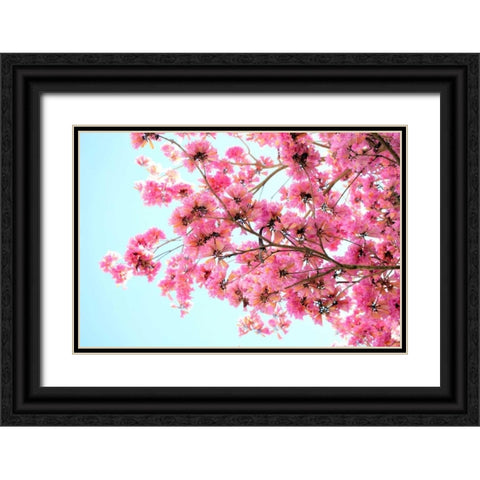 Pink Floral Branch Black Ornate Wood Framed Art Print with Double Matting by Peck, Gail
