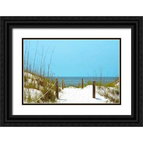 White Sandy Beach I Black Ornate Wood Framed Art Print with Double Matting by Peck, Gail