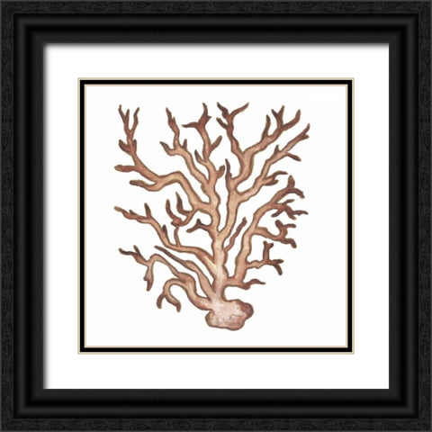 Coastal Icon Coral III Black Ornate Wood Framed Art Print with Double Matting by Medley, Elizabeth