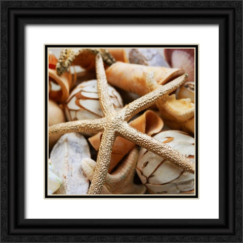 Gold Starfish I Black Ornate Wood Framed Art Print with Double Matting by Bryant, Susan