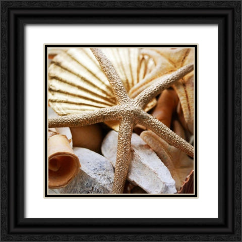 Gold Starfish II Black Ornate Wood Framed Art Print with Double Matting by Bryant, Susan