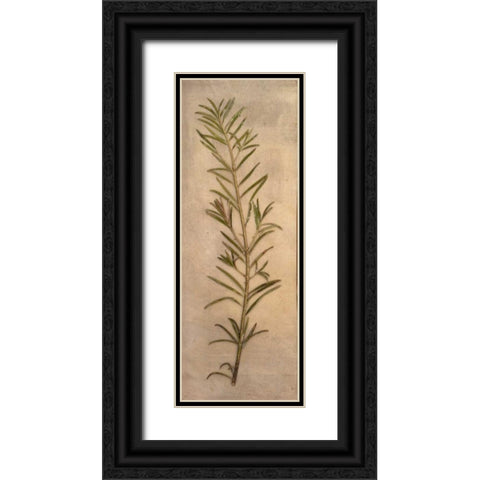 Captured Nature I Black Ornate Wood Framed Art Print with Double Matting by Johnson, Walt