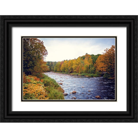 Scenic River Black Ornate Wood Framed Art Print with Double Matting by Poynter, Kelly