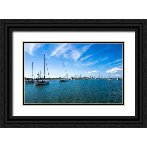 On Calm Waters Black Ornate Wood Framed Art Print with Double Matting by Bill Carson Photography