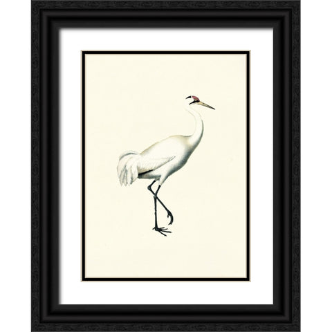 Bird III on Cream Black Ornate Wood Framed Art Print with Double Matting by Piddix