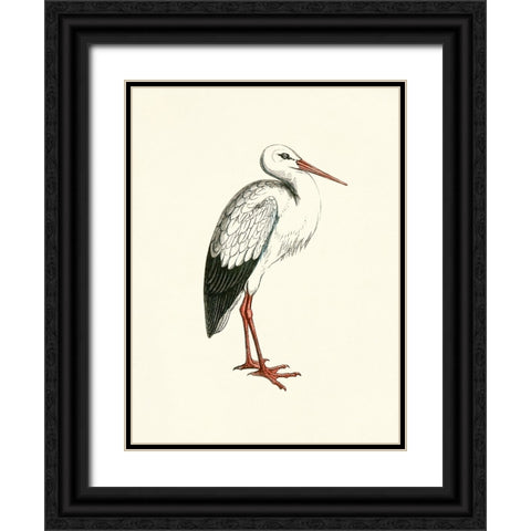 Bird II on Cream Black Ornate Wood Framed Art Print with Double Matting by Piddix