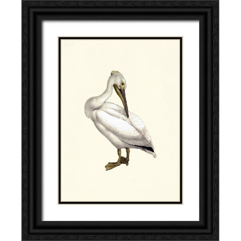 Bird IV on Cream Black Ornate Wood Framed Art Print with Double Matting by Piddix