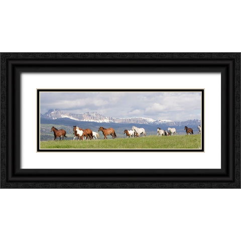 Absaroka Run Black Ornate Wood Framed Art Print with Double Matting by Walker, Carol