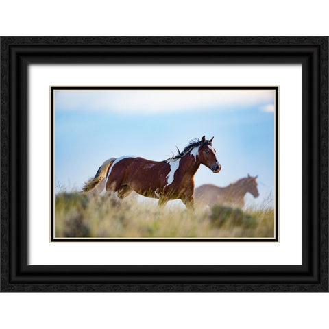 Eye Of The Horse Black Ornate Wood Framed Art Print with Double Matting by Walker, Carol