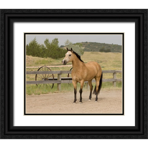 The Ranch Black Ornate Wood Framed Art Print with Double Matting by Walker, Carol