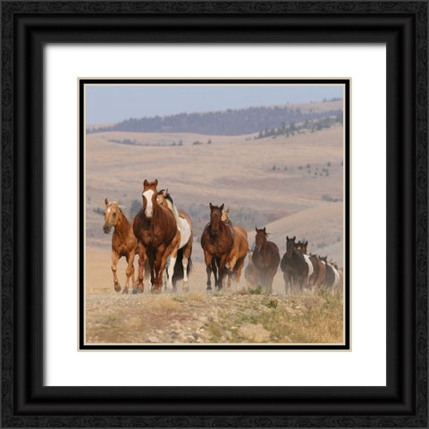 Run Wild Black Ornate Wood Framed Art Print with Double Matting by Walker, Carol